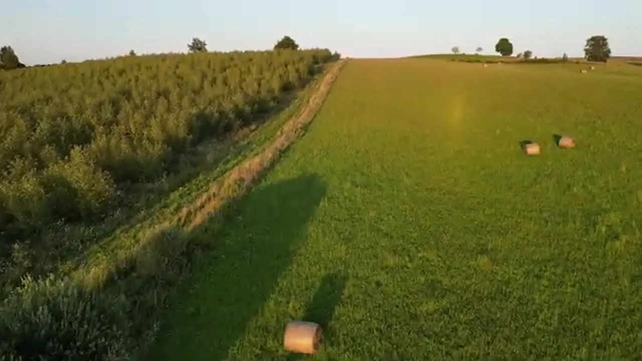 Warmia z lotu drona: pola i bele siana o zachodzie słońca
